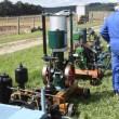 There were a few stationary engines on display as well
