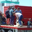 2004 Bill English shearing demo